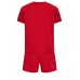Dänemark Fußballbekleidung Heimtrikot Kinder WM 2022 Kurzarm (+ kurze hosen)